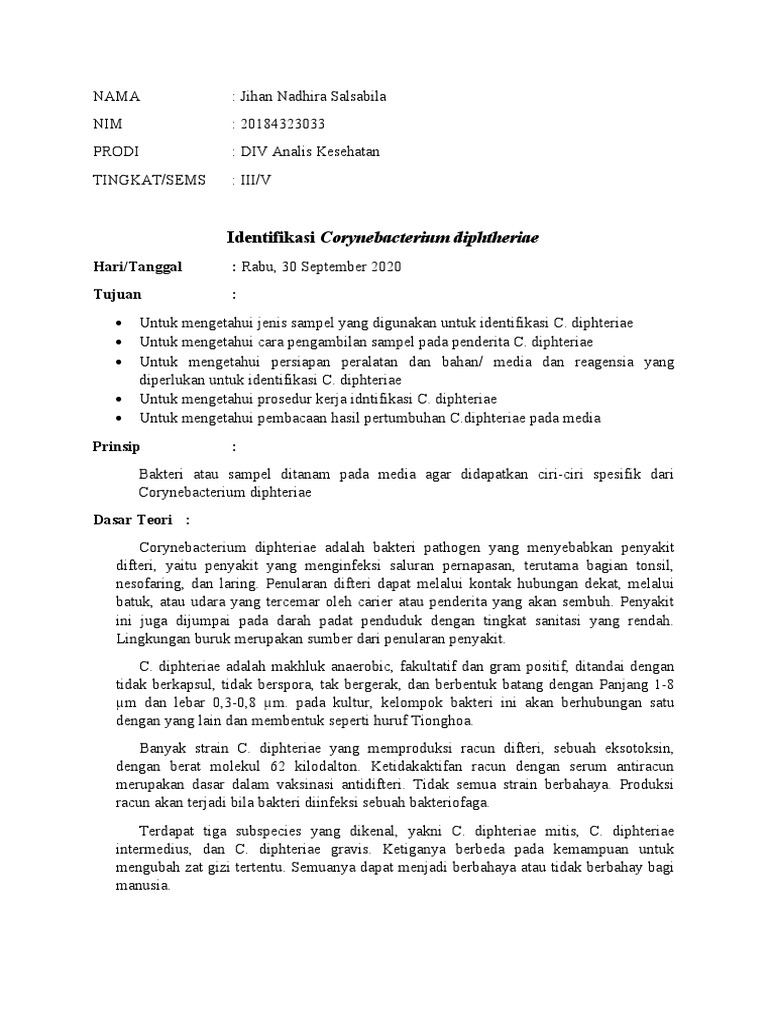 laporan-bakteri-3-difteri-jihan-nadhira-s-pdf