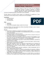 Informe Técnico Melindres o Rosquillas