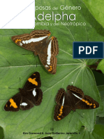 Butterfly Catalog Genus Adelpha 2017 Mar17