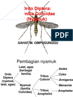 Ordo Diptera: Familia Culicidae (Nyamuk