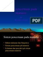 Sistem Pencernaan Pada Manusia