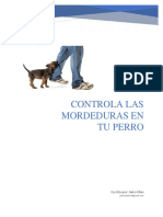 Controla Mordeduras en Perros