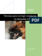 Tecnicas de Adiestramiento