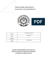 Histologi Acara 2