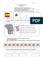 Evaluare Intialamemcls.1