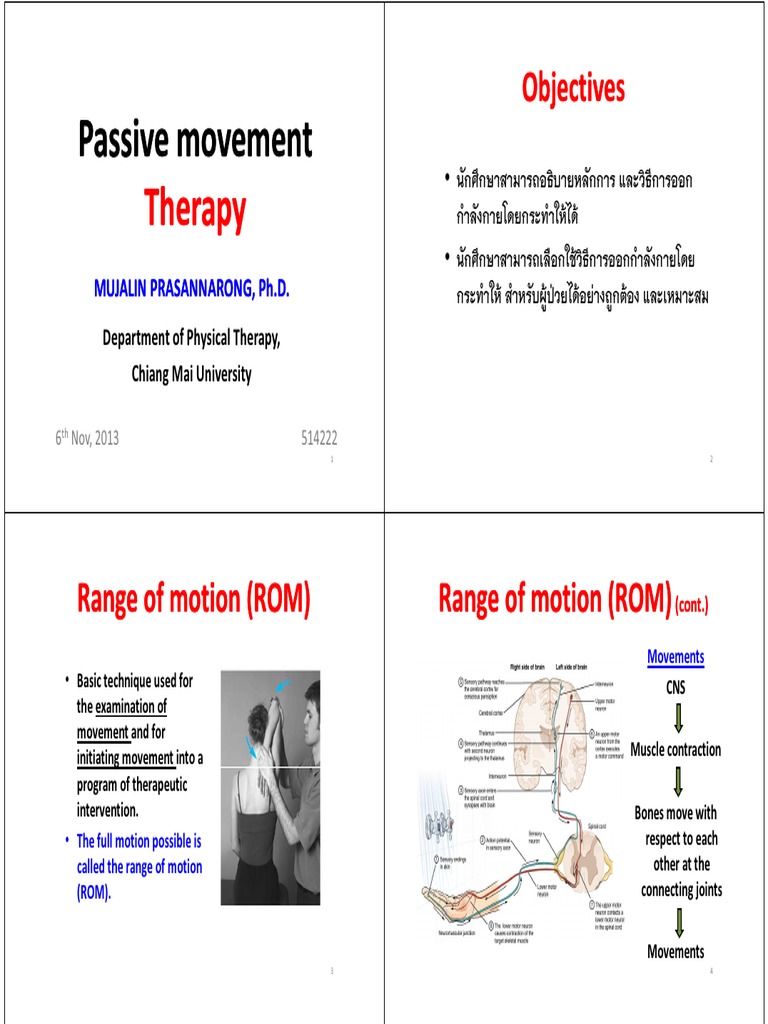 Passive Movement Therapy PDF Joint Muscle