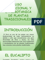 Uso tradicional y etnobotánica de plantas medicinales peruanas