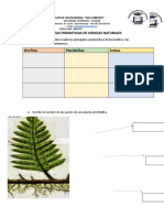 Tareas Formativas de Ciencias Naturales