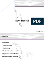 SDH Basics: Eagle Photonics