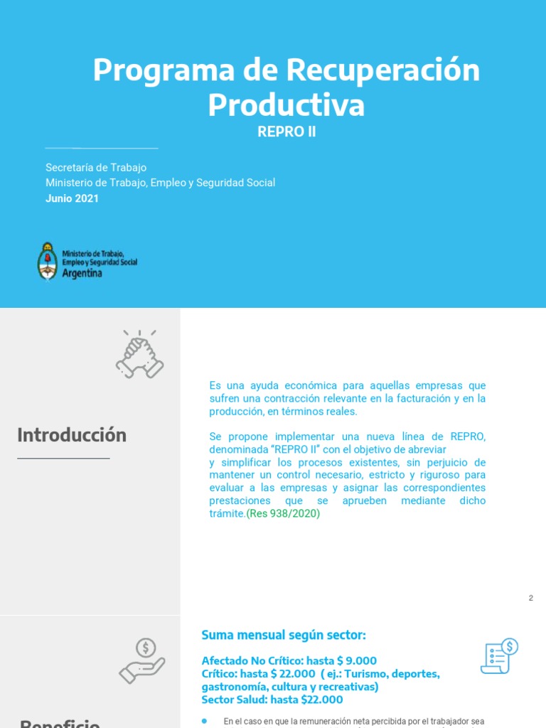 Programa REPRO II: Guía y Beneficios | PDF | Salario | Bienestar