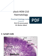 Block HEM-210 Haematology: Practical Histology Revision