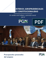 Principales Criterios Jurisprudenciales - Corte de Constitucionalidad