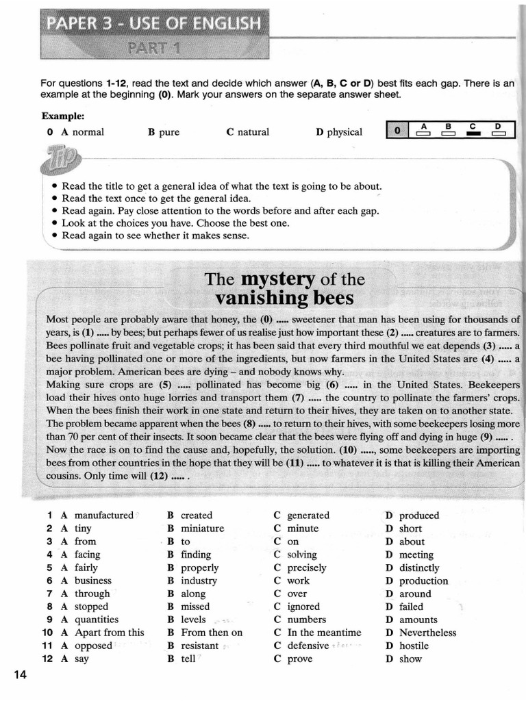 Tests Exam Paper 1 | PDF