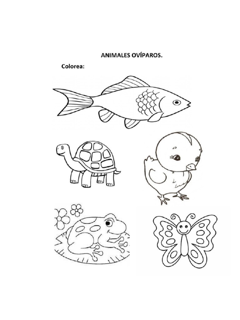 animales-ov-paros-y-viv-paros-pdf