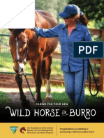 Congratulations On Adopting or Purchasing A Wild Horse And/or Burro!
