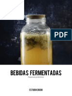 BEBDIAS FERMENTADAS