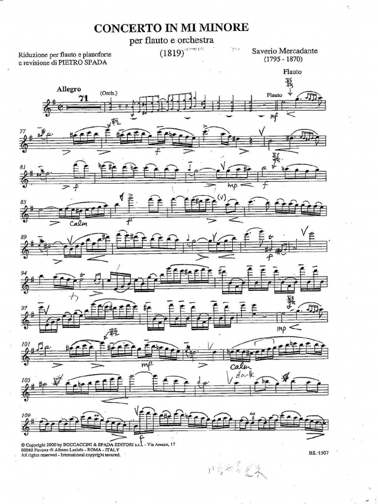 Mercadante Flute Concerto PDF