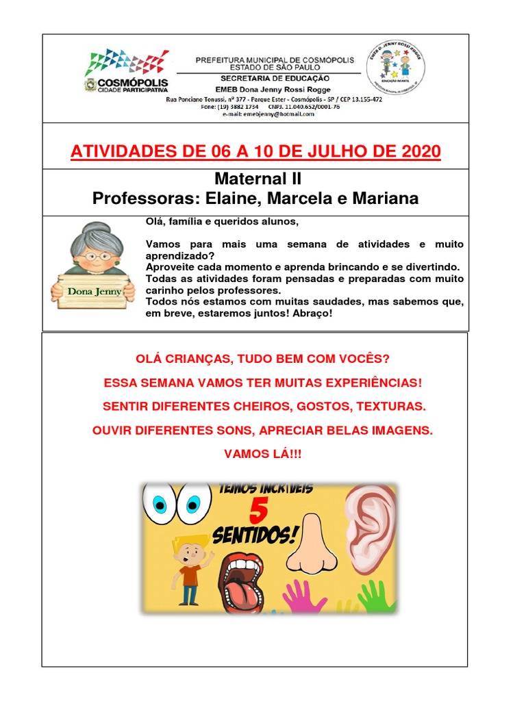 ATIVIDADES PARA TRABALHAR OS 5 SENTIDOS!  Educação infantil, Atividades,  Educação