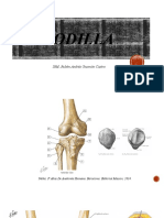 Rodilla