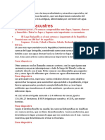 Algunas cuencas tienen ciertas peculiaridades y atractivos especiales