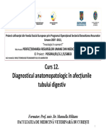 Diagnosticul Anatomopatologic in Afectiunile Tubului Digestiv