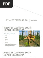 Plant Pathology 101 Powerpoint Part1