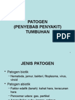 Patogen Tumbuhan