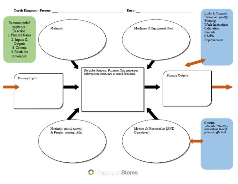 Turtle Life Cycle Template | PDF | Computers