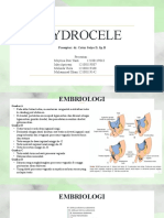 CSS Hydrocele-Dr - Catur, SPB