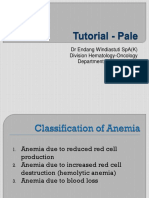 Tutori - Anemia Mhs