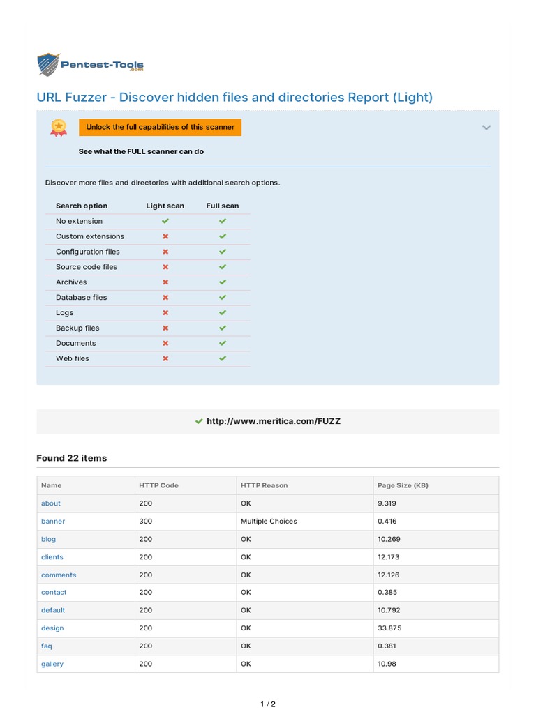 URL Fuzzer Discover Hidden Files and Directories Report (Light) PDF