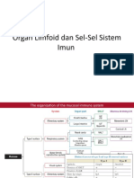 Sel Dan Organ Limfoid MATERI UAS 2016