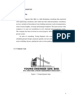 Young Engineer's soil investigation report