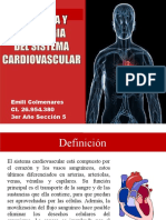 Sistema cardiovascular: definición, estructuras y funciones
