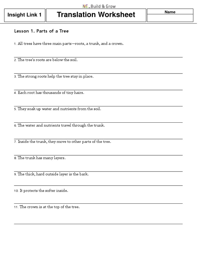 Translation Worksheet: Insight Link 1 | PDF | Science & Mathematics