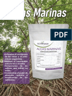 Ficha Algas Marinas - W