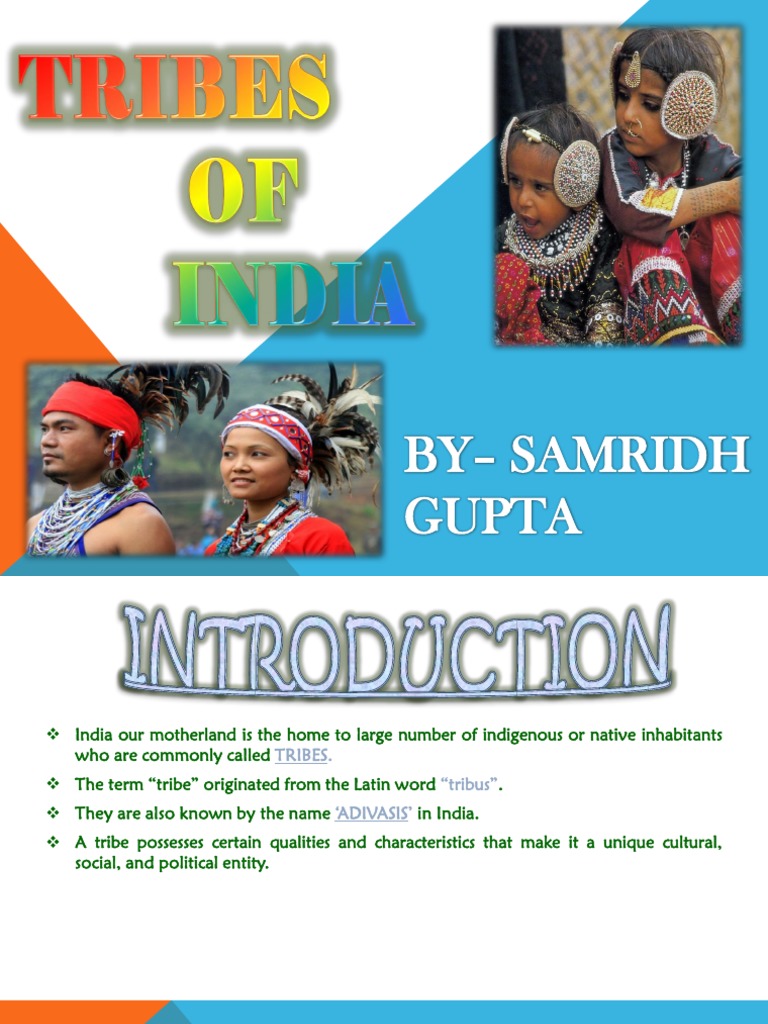 Tribes of India PDF Ethnic Groups Ethnicity