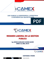 Tema Regimen Laboral en La Gestion Publica