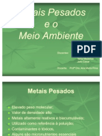 Metais Pesados e o Meio Ambiente - Slides Final