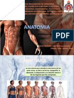 anatomia juli