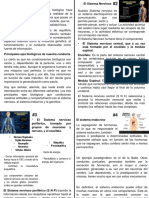 Contenido Expo Dimension Biologica PDF