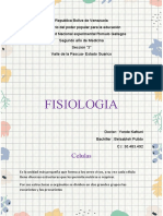 Ensayo de Fisiologia