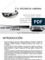 Caso BMW