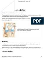 Collateral Ligament Injuries - OrthoInfo - AAOS 