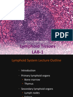 BIOL 412 Tutorial 1 Lymphoid Tissues