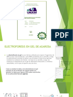 Diapositivas: Maqueta Sobre Equipos de Electroforesis Convencional en Gel de Agarosa