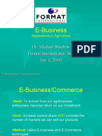 E-Business: Dr. Michael Stachiw Format International, Inc. Jan. 6, 2004