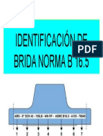 Identificación de Brida