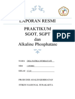 Dea Fatika Nurhayati - C 13 - Sgot - SGPT - Alp