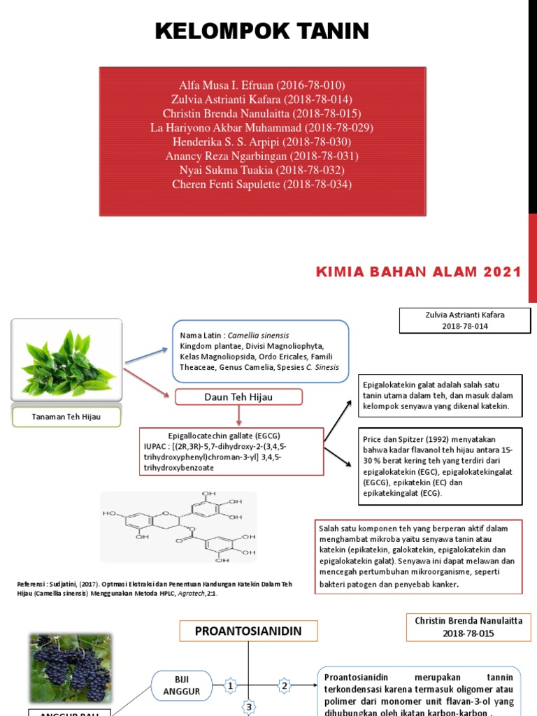 PPT-KBA Tanin-Dikonversi | PDF